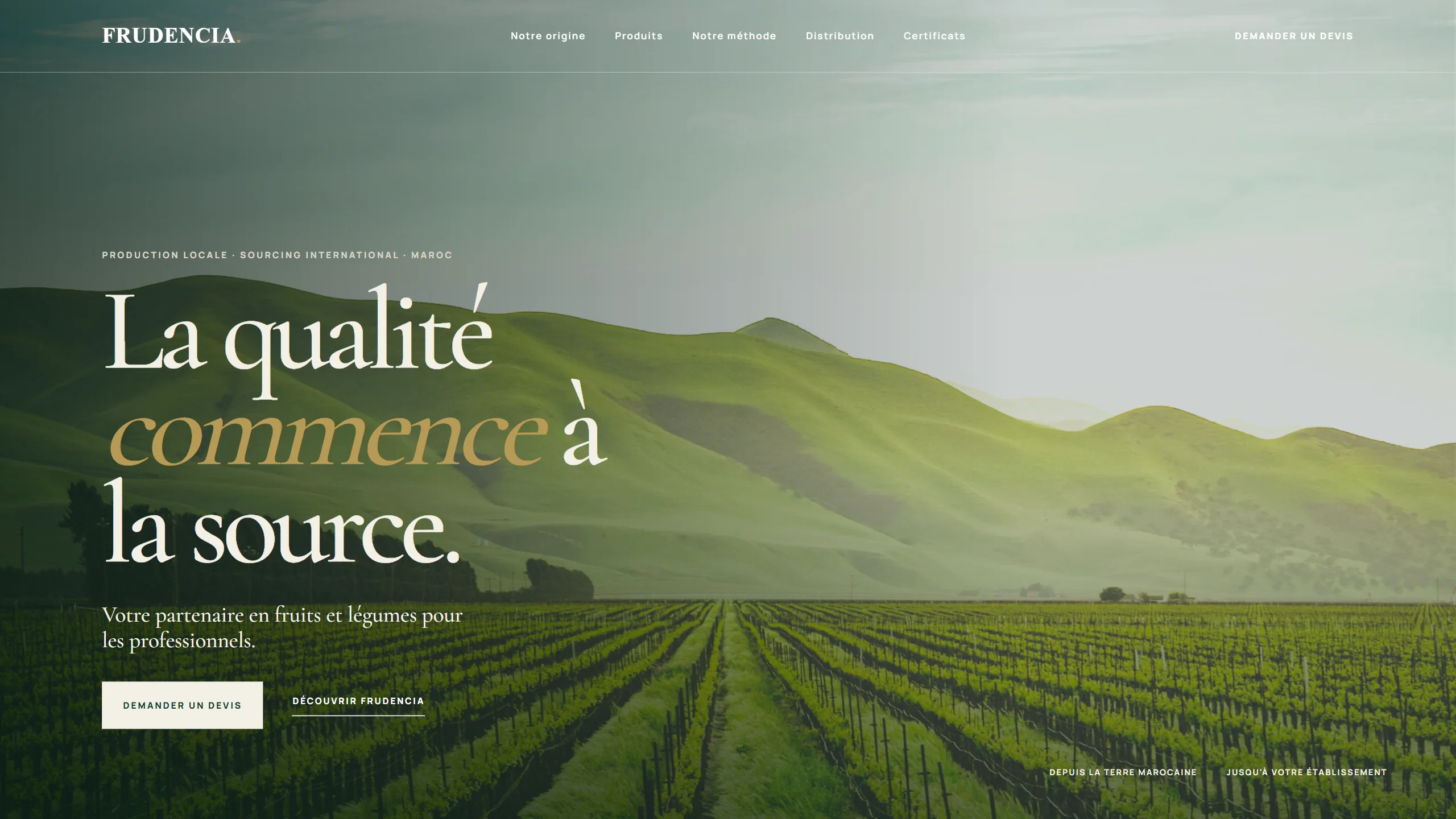 Frudencia website design project by dravellagency